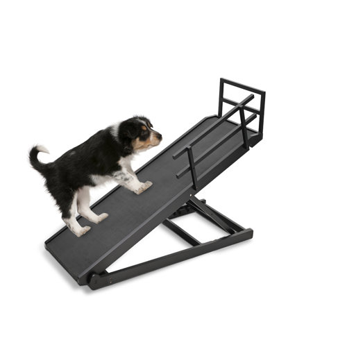 Tucker Murphy Pet™ Dog Ramp with Side Rails, 5 Level Adjustable Folding